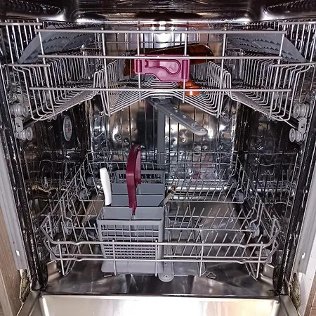 In 伊斯坦布尔
